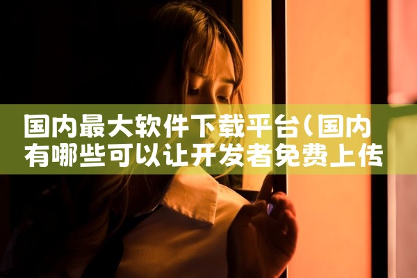 国内最大软件下载平台