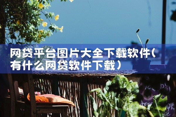 网贷平台图片大全下载软件