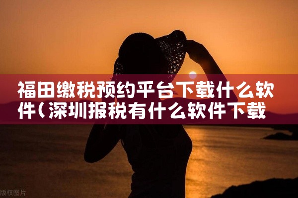 福田缴税预约平台下载什么软件