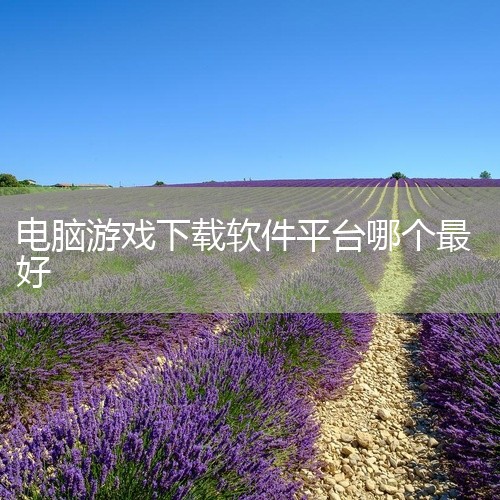 steam平台下载游戏就不错，Steam平台是Valve公司聘请BitTorrent(BT下载)开发者布拉姆·科恩亲自开发设计的游戏和软件平台。Steam平台是全球最大的综合性数字发行平台之一。玩家可,
