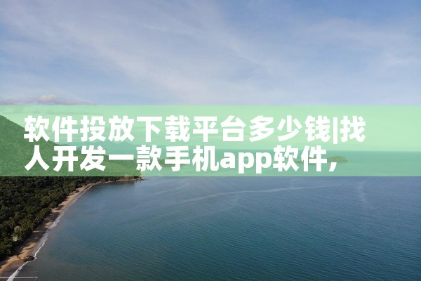 软件投放下载平台多少钱