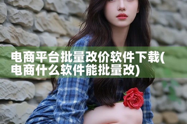 电商平台批量改价软件下载