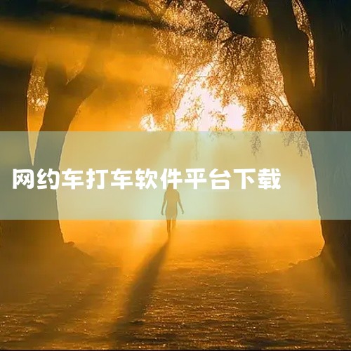 下载网约车要通过手机应用商店搜索并安装正规平台，具体步骤和注意事项如下：一、选择正规平台主流网约车平台像滴滴出行、T3出行、曹操出行、花小猪打车等都在各大应用商店上架了。别通过非官方链接下载，以免装上,