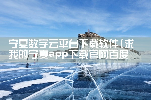 宁夏数字云平台下载软件