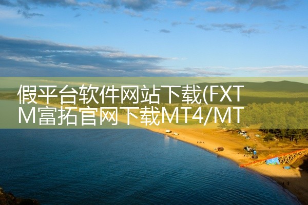 假平台软件网站下载