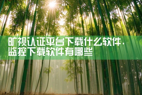 旷视认证平台下载什么软件