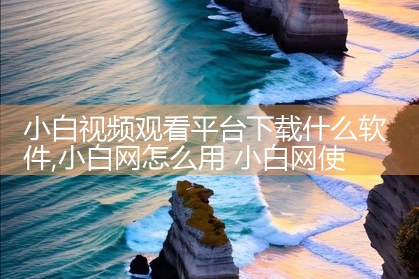 小白视频观看平台下载什么软件