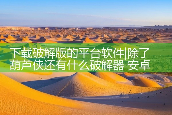 下载破解版的平台软件