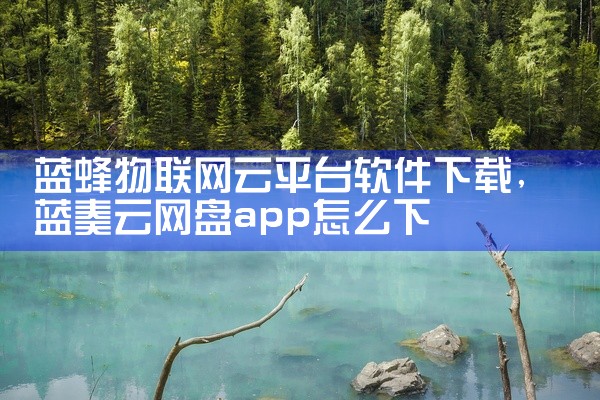 蓝蜂物联网云平台软件下载