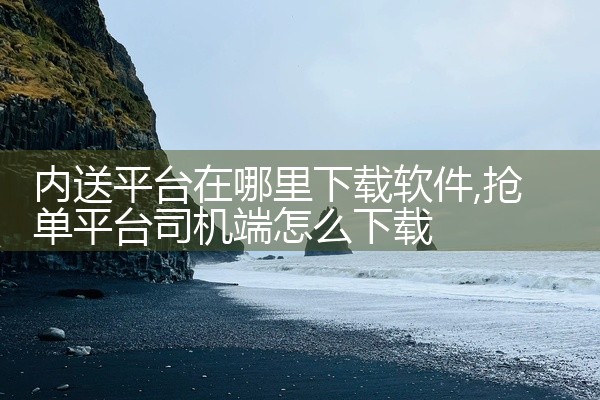 内送平台在哪里下载软件